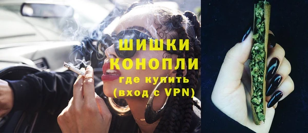 мдпв Краснослободск