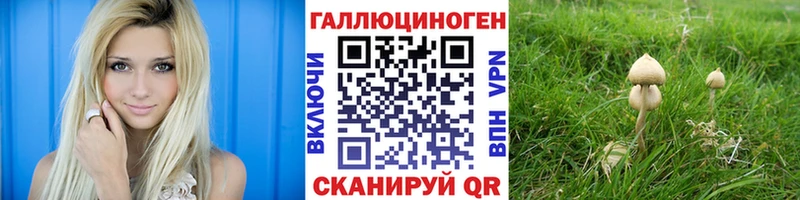 Псилоцибиновые грибы мицелий  Котлас 