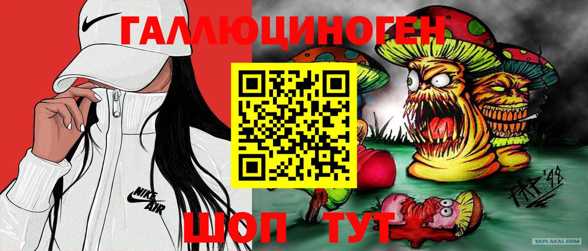 Котлас  Псилоцибиновые грибы мухоморы  Вход с VPN 